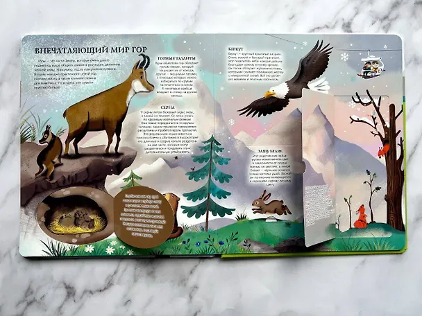 Книга Мои животные. Интерактивные энциклопедии с колесиком, окошком и постером (Фабьен Окто Ломбер) — 7