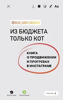 Из бюджета только кот. Книга о продвижении и прогревах в инстаграме