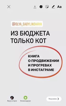 Из бюджета только кот. Книга о продвижении и прогревах в инстаграме — 2878945 — 1