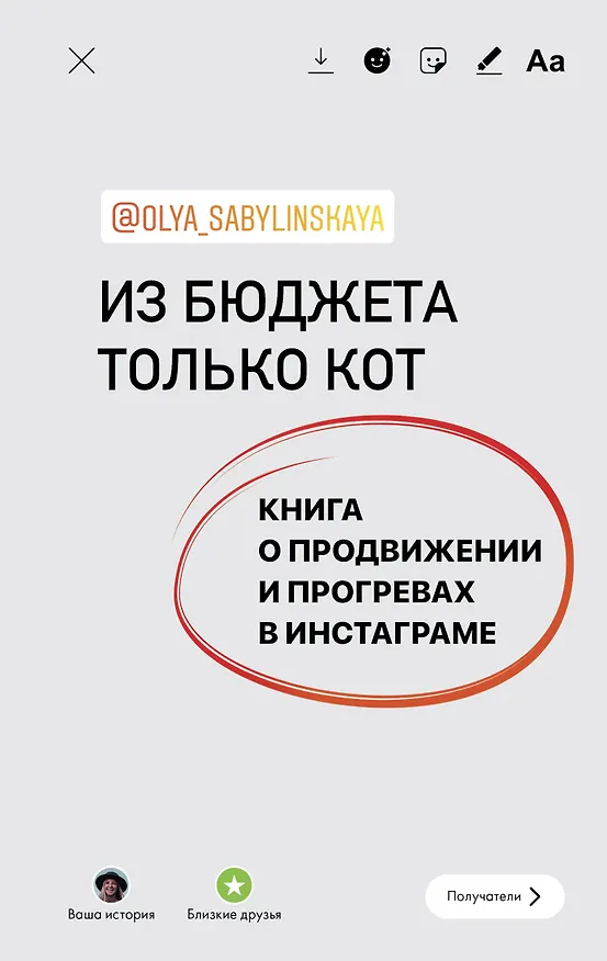 Книга Из бюджета только кот. Книга о продвижении и прогревах в инстаграме (Оля Сабылинская) — 1