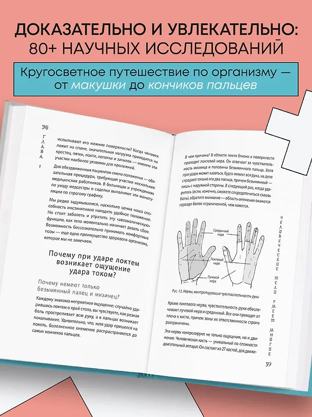 Книга Удивительное тело. Почему наше тело самое нелепое и гениальное создание природы (Такэхито Ямамото) — 6