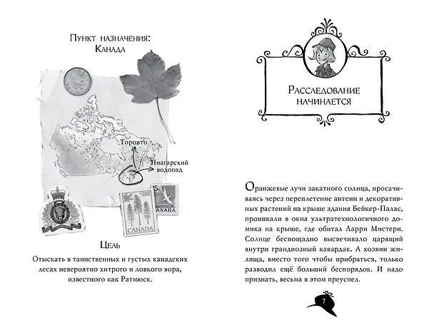 Книга Агата Мистери. Кн.4. Кража на Ниагарском водопаде (Стив Стивенсон) — 13