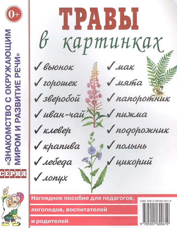 Книга Травы в картинках. Наглядное пособие для логопедов, педагогов, воспитателей и родителей (Наталья Кулакова) — 1