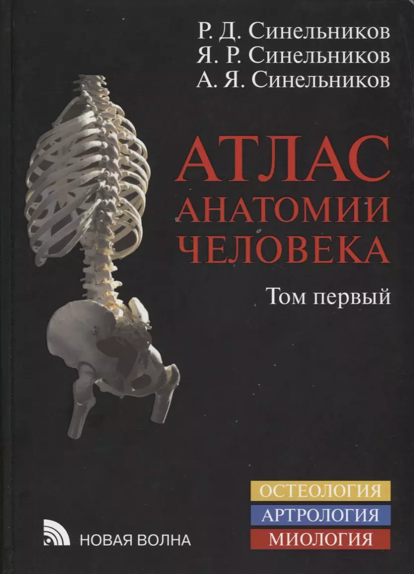 Атлас анатомии человека Уч. Пос. 1т/4тт (8 изд.) Синельников (Рафаил  Синельников) - купить книгу с доставкой в интернет-магазине «Читай-город».  ISBN: 978-5-7864-0275-0