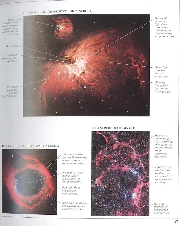 Книга Pocket Visual Dictionary () — 6