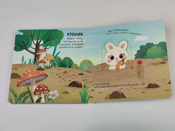 Книга Смотрим, играем, запоминаем! На ферме () — 13