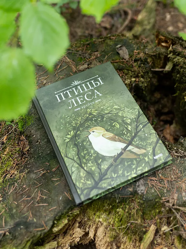 Книга Птицы леса. Артбук (Geo Saiko) — 21