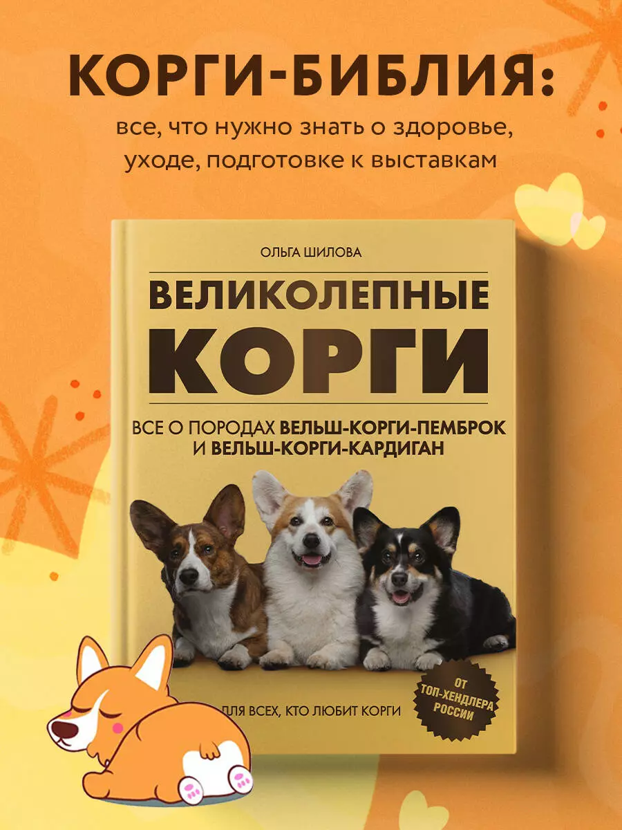 Великолепные корги. Все о породах вельш-корги-пемброк и  вельш-корги-кардиган (Ольга Шилова) - купить книгу с доставкой в  интернет-магазине ...