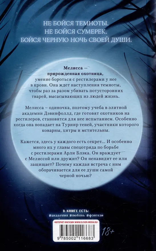 Книга Хранители душ. Академия Дэвинфоллд (Сана Эванс) — 2