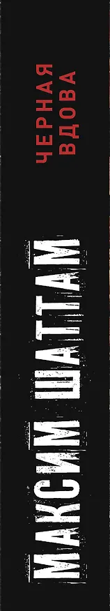 Книга Черная вдова (Максим Шаттам) — 3