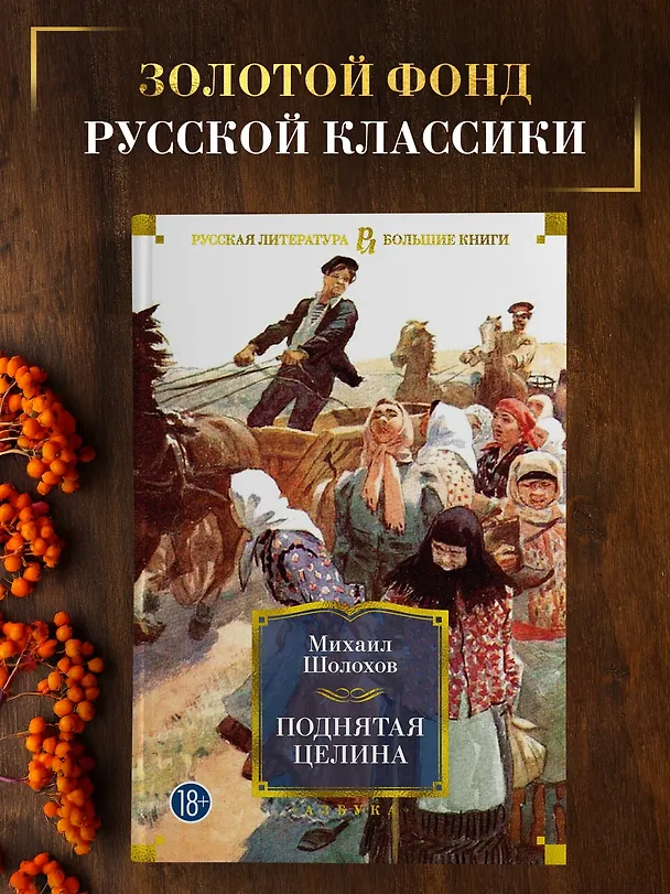 Книга Поднятая целина (Михаил Шолохов) — 4