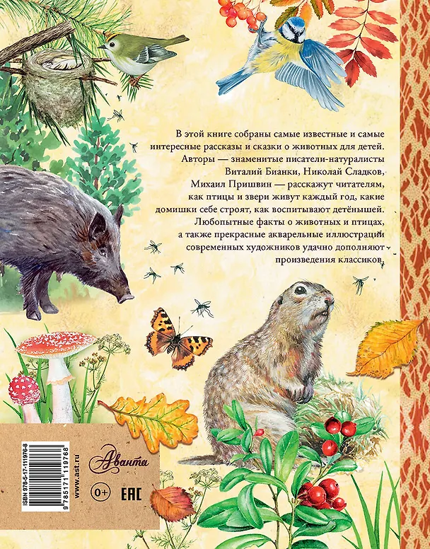 Книга Рассказы и сказки о природе (Виталий Бианки) — 2