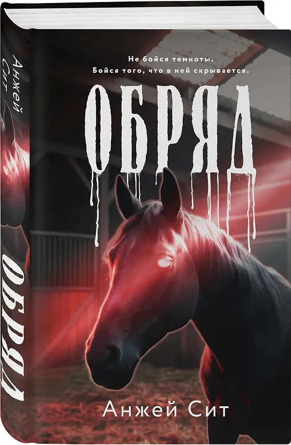 Книга Обряд (Анжей Сит) — 5
