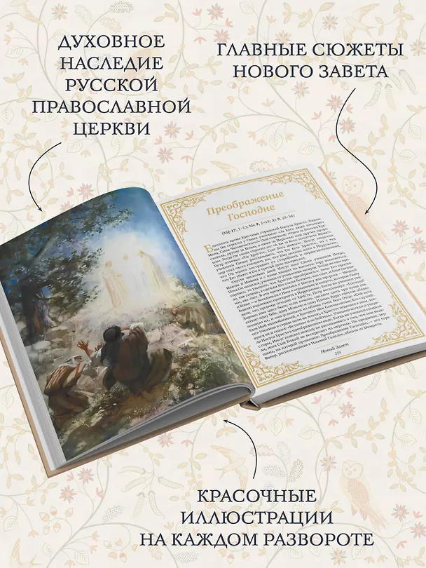 Книга Святое Евангелие для начинающих (Наталия Куцаева) — 6