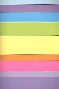 Тетрадь А4 96л лин. "Цветные полосы" офсет, мел.картон, Премьера