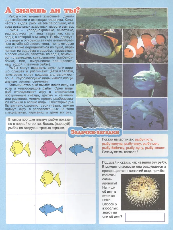 Книга Кто живет в море? Для детей 4-6 лет () — 2