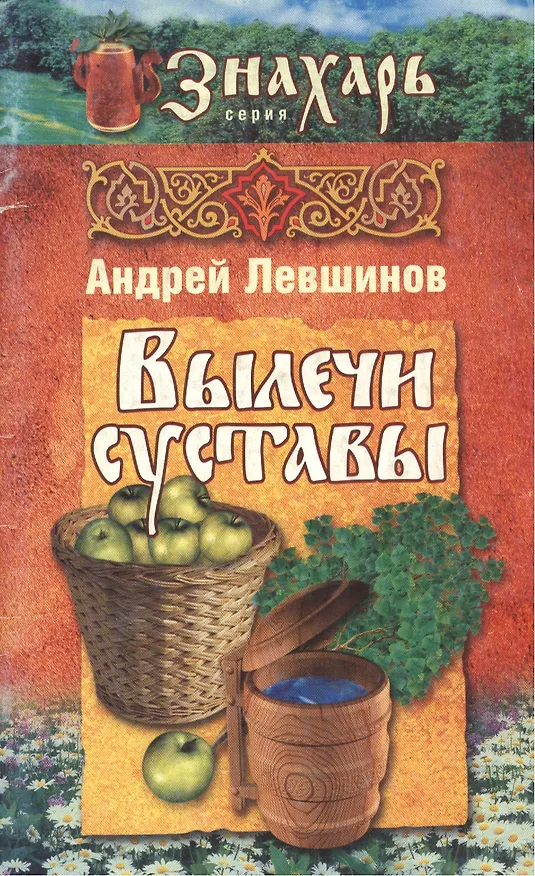 Книга Вылечи суставы (Андрей Левшинов) — 1