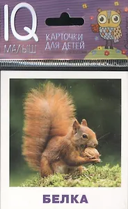 Умный малыш. Кто живёт в лесу? Набор карточек для детей.