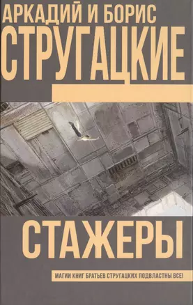 Стажеры — 2515372 — 1