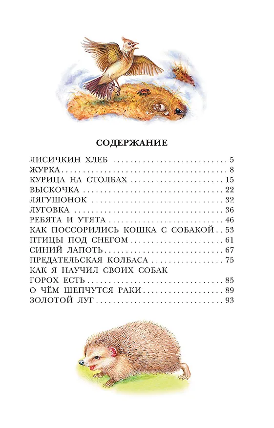 Книга Лисичкин хлеб (Михаил Пришвин) — 9