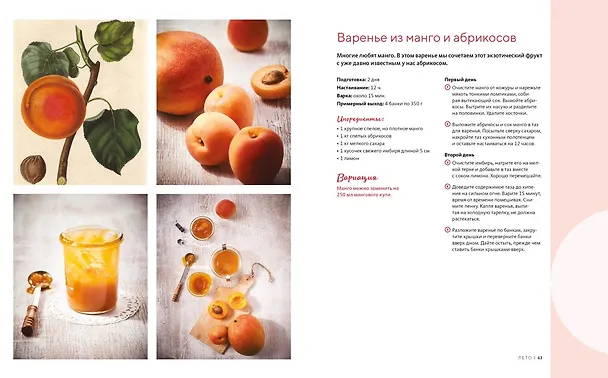 Книга Неповторимый подарок гурману из варенья, заготовок и лимона. Сборный комплект в коробе из 3-х книг (Джадис Шредер, Аглая Блен, Франсуаза Циммер, Минуш Пастье) — 17