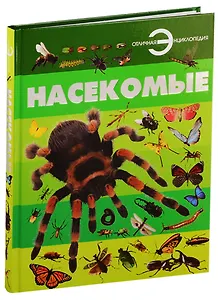 Насекомые