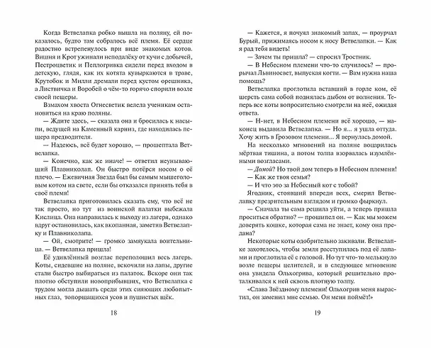 Книга Огненная река (Эрин Хантер) — 9