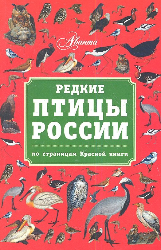 

Редкие птицы России. По страницам Красной книги