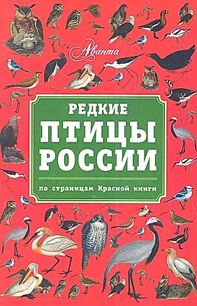 Редкие птицы России. По страницам Красной книги — 2360372 — 1