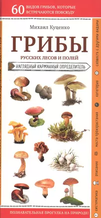 Грибы русских лесов и полей. Наглядный карманный определитель — 2811601 — 1