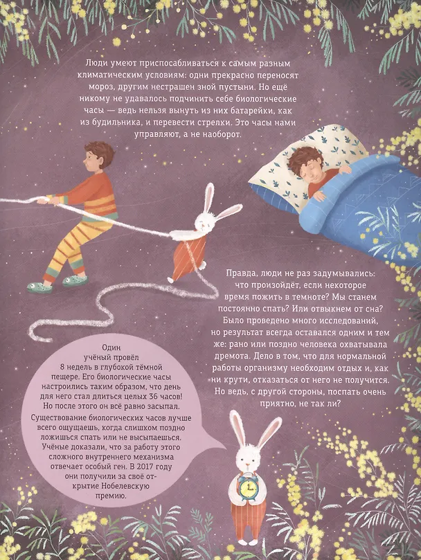 Книга Наступает ночь... Что происходит, пока ты спишь (Моника Утник-Стругала) — 6