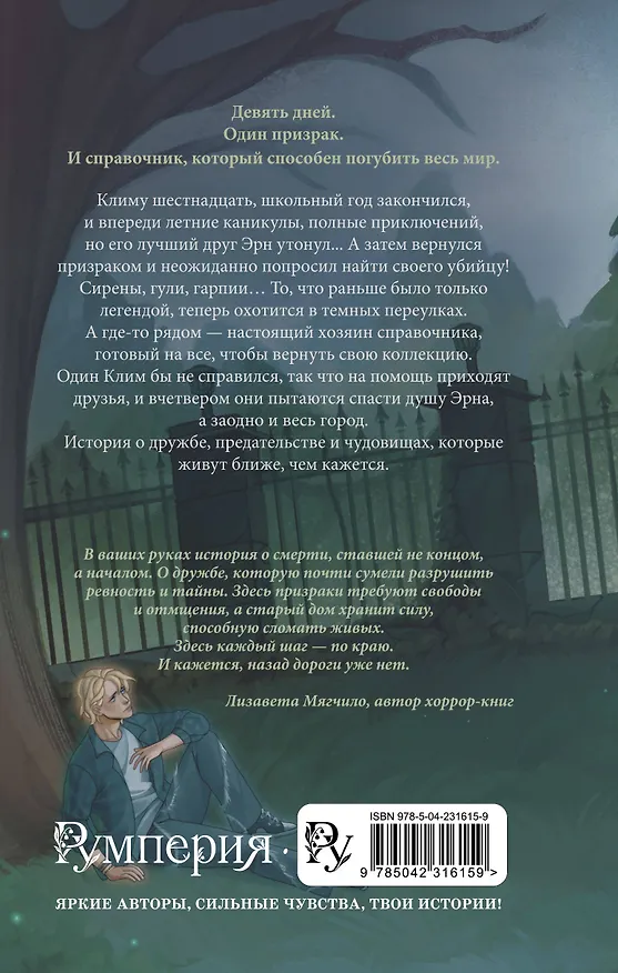 Книга Тень серого дома (Галина Ивина) — 2