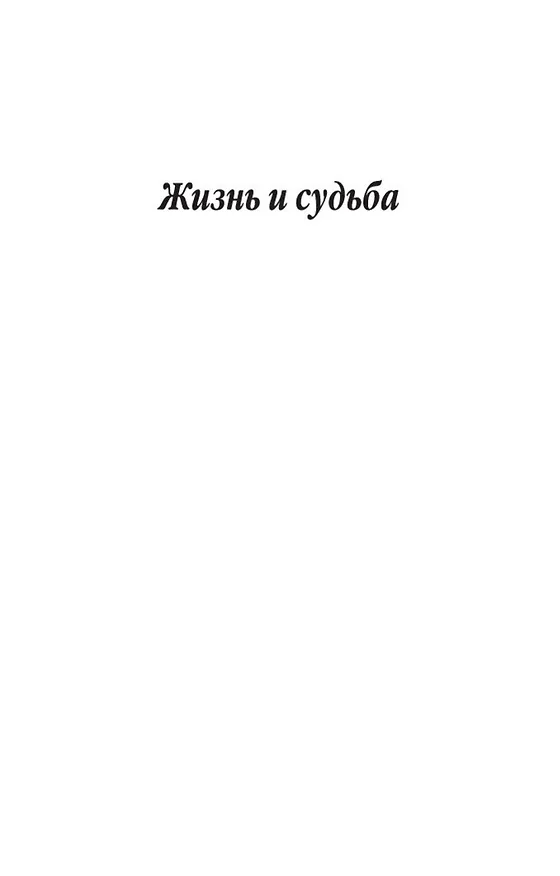 Книга Жизнь и судьба (Василий Гроссман) — 11