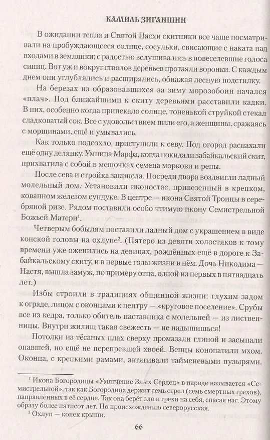 Книга Скитники (Камиль Зиганшин) — 6