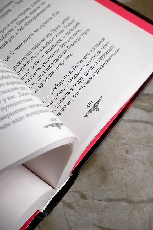 Книга Леди-призрак: Вакансия для призрака, Призрак на задании (Александра Лисина) — 15