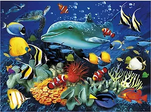 Пазл 1000К 39186 Clementoni Дельфин (+3D очки) (69х50см) (коробка) 2346650