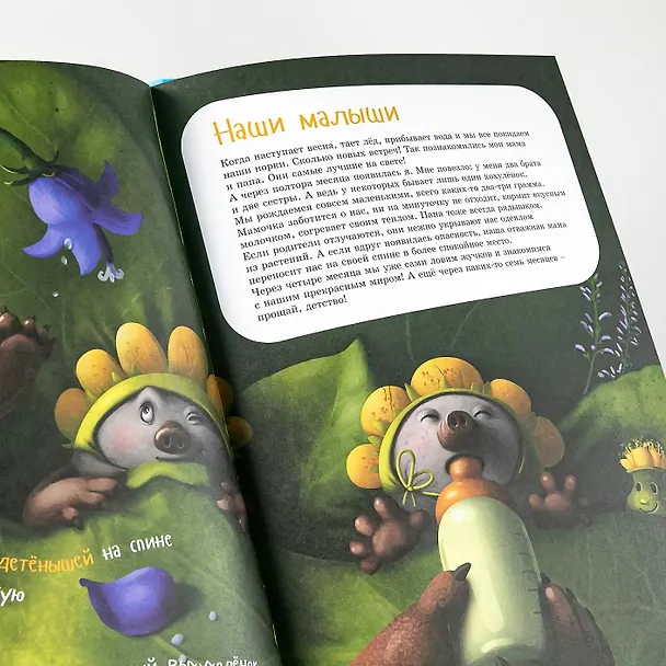Книга Я выхухоль (Оксана Коростышевская) — 13