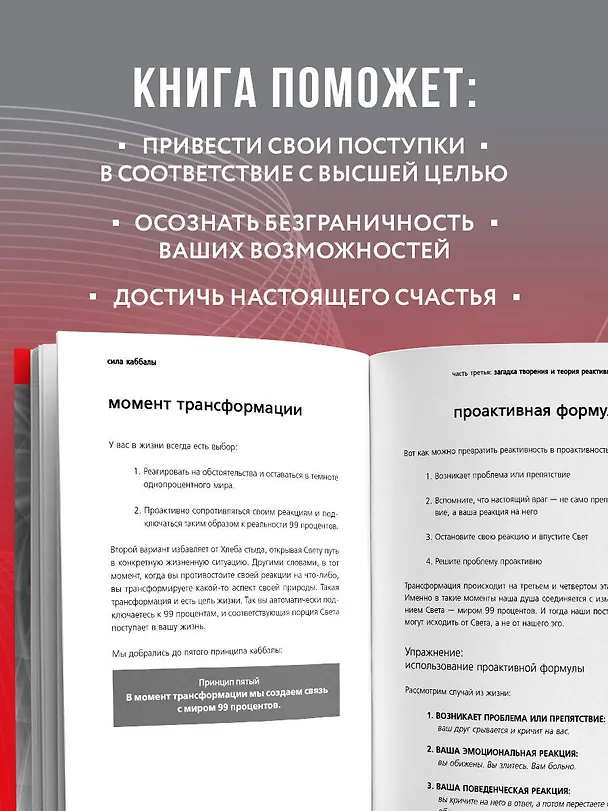 Книга Сила каббалы. 13 принципов преодоления трудностей и достижения своего предназначения (Йегуда Берг, Рав Берг) — 6
