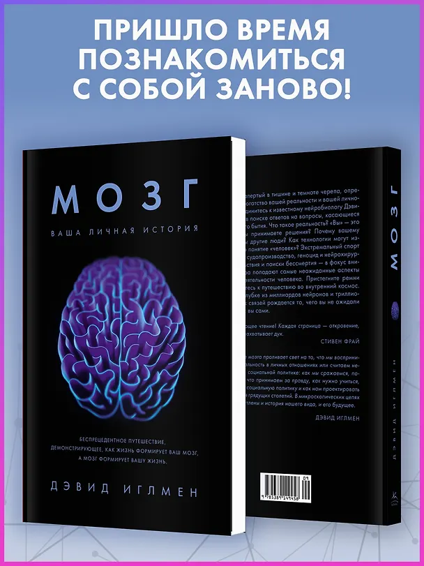 Книга Мозг. Ваша личная история (Дэвид Иглмен) — 8