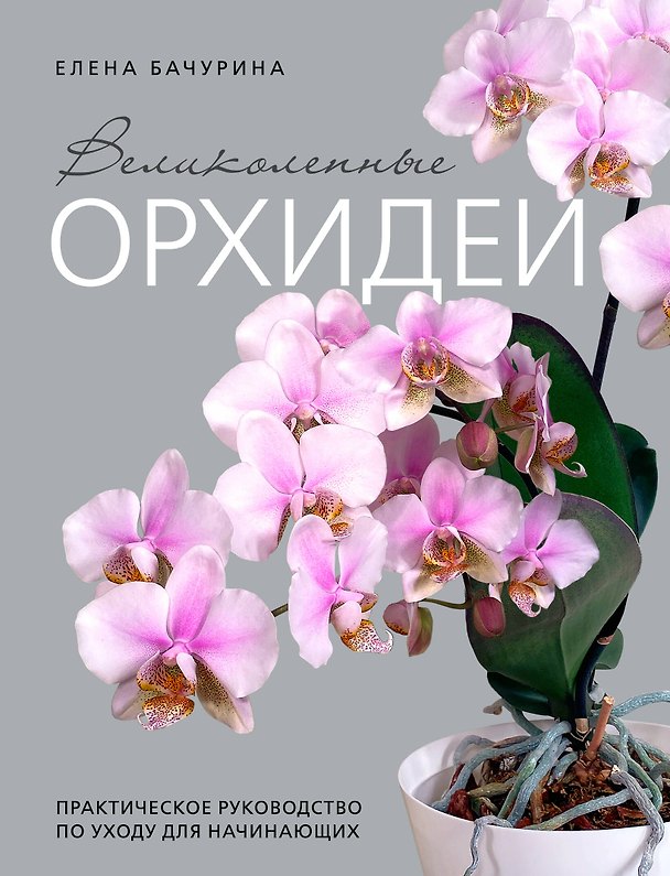 Книга Великолепные орхидеи. Практичное руководство по уходу для начинающих (Елена Бачурина) — 1
