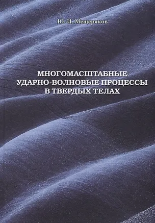 Книга Многомасштабные ударно-волновые процессы в твердых телах ()