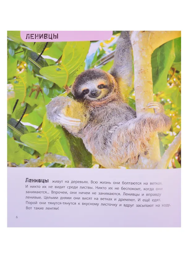 Книга Кто самый-самый? Удивительные животные (Мак Ван Гагельдонк) — 4