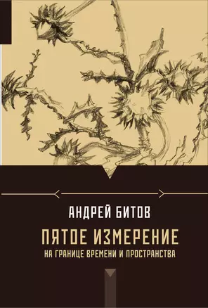 Пятое измерение: На границе времени и пространства: эссе — 2400194 — 1