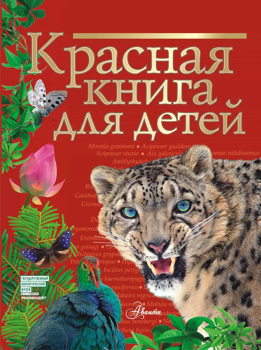 Красная книга для детей. Редкие животные России (Сергей Хрибар) - купить  книгу с доставкой в интернет-магазине «Читай-город». ISBN: 978-5-17-137127-2