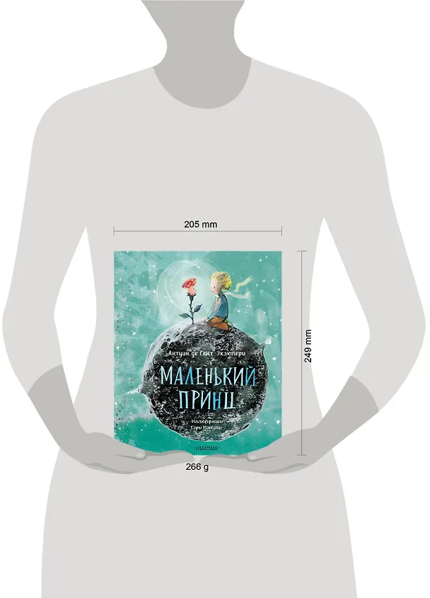Книга Маленький Принц (ил. Сары Массини) (Антуан де Сент-Экзюпери) — 16