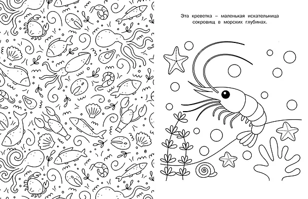 Книга Милые очаровашки (Иван Барсуков) — 9