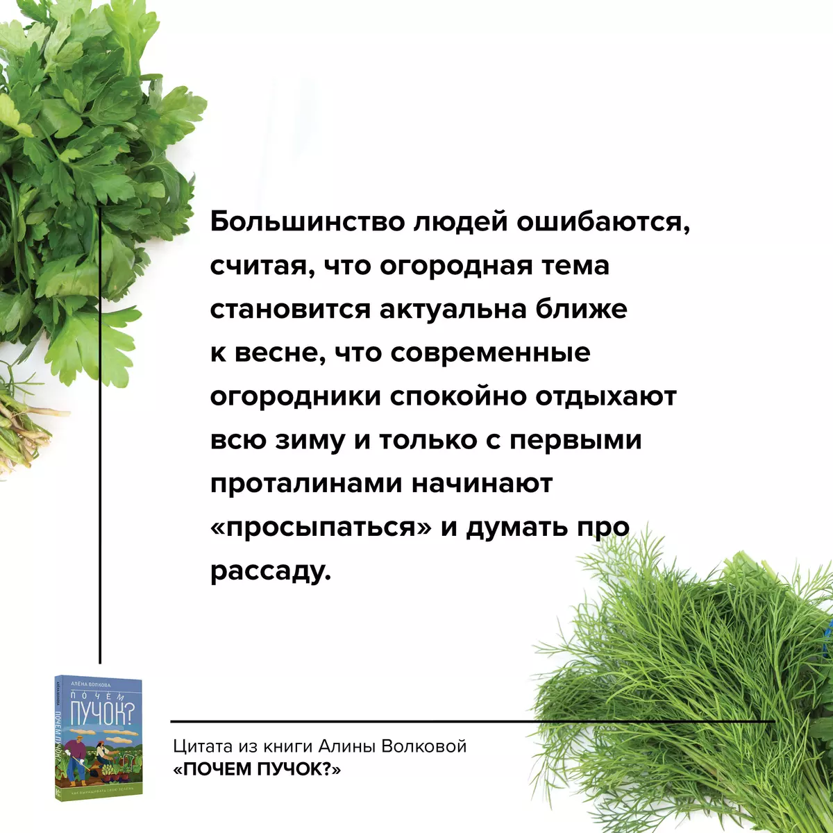 Почем пучок. Как выращивать свою зелень (Алёна Волкова) - купить книгу с  доставкой в интернет-магазине «Читай-город». ISBN: 978-5-17-160021-1