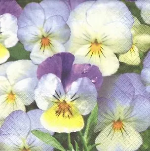 Набор салфеток для декупажа Анютины глазки 1 (НСД2074) (2шт) (упаковка) 2358014