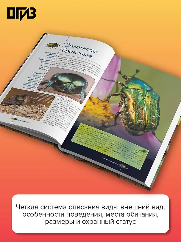 Книга Насекомые. Иллюстрированный гид (Анна Спектор) — 7