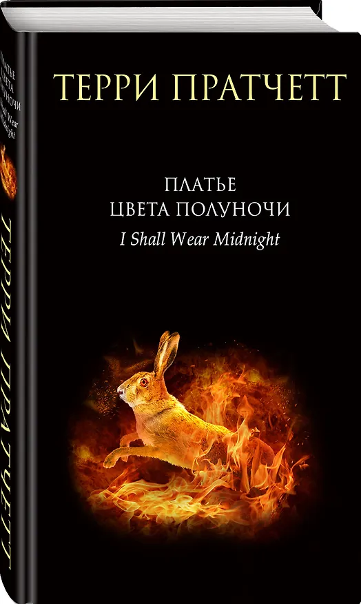 Книга Платье цвета полуночи (Терри Пратчетт) — 4